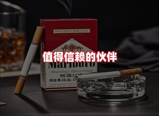 专业团队
